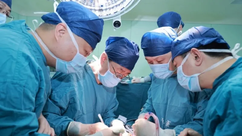 kina transplantacija svinjske jetre u čovjeka