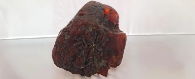 FossilAmberRockDoorstop
