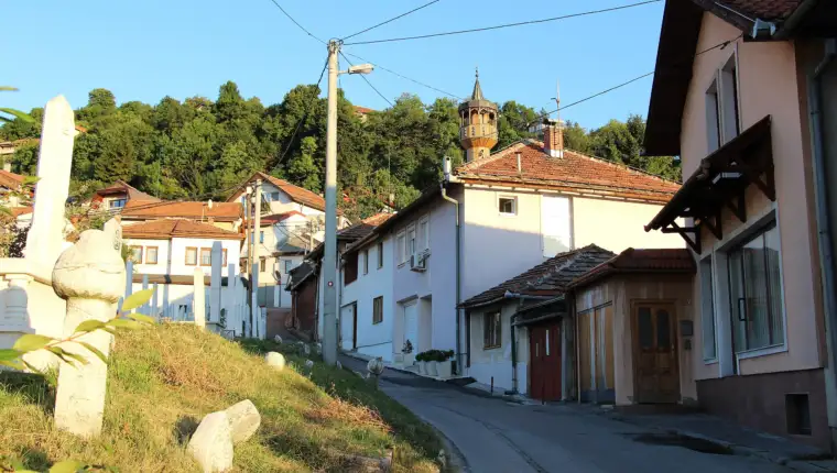 alifakovac1
