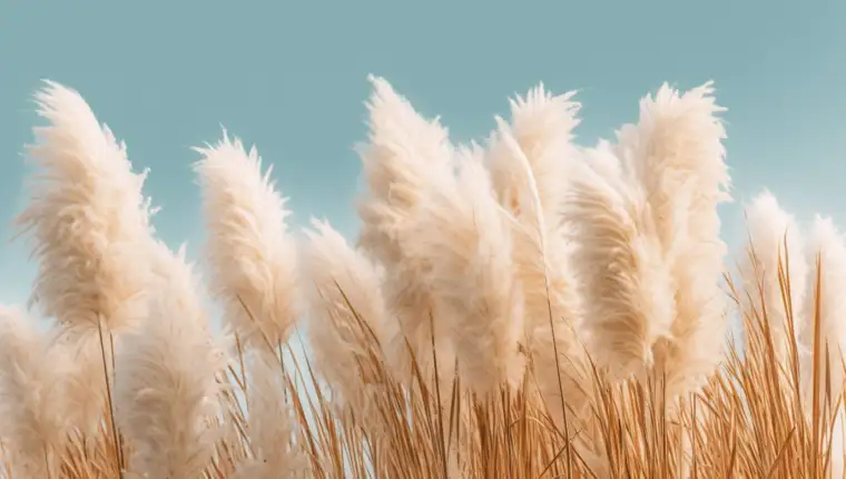 Pampas grass Minimalist Background. Generative AI