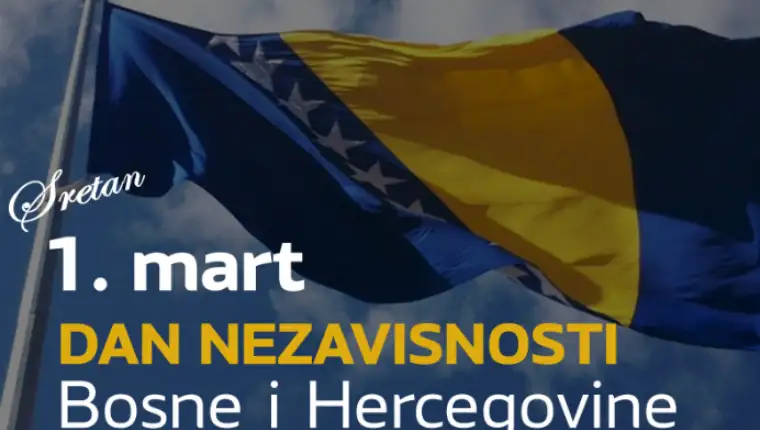 nsbih 6