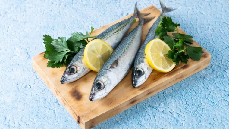 Raw mackerel fish on blue background