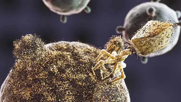 3D microorganisms