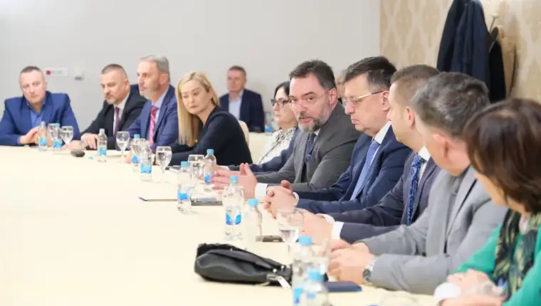 stasa kosarac direktori