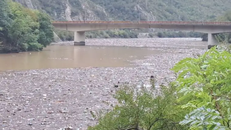 jablanica 5