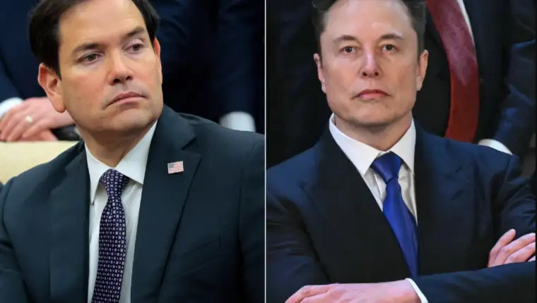 rubio musk