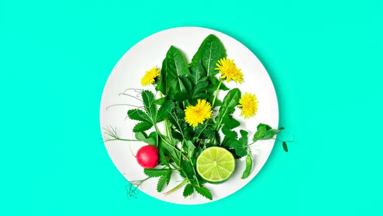 salata
