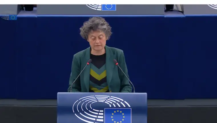 tineke strik