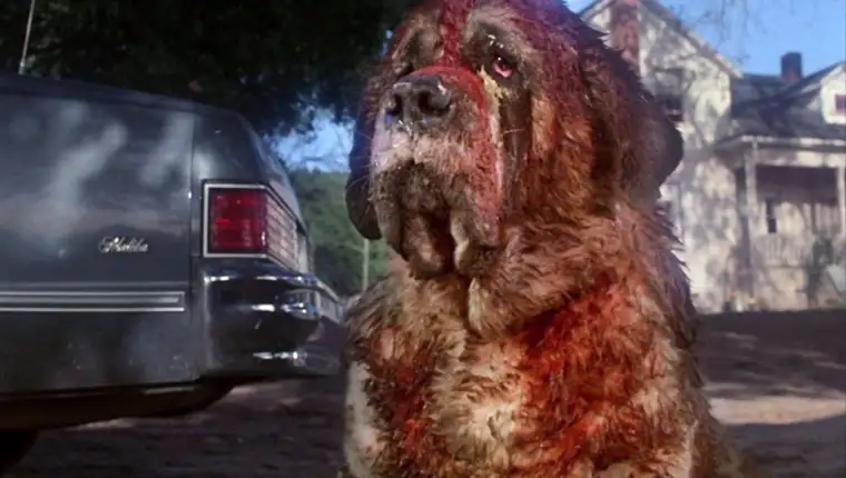 cujo