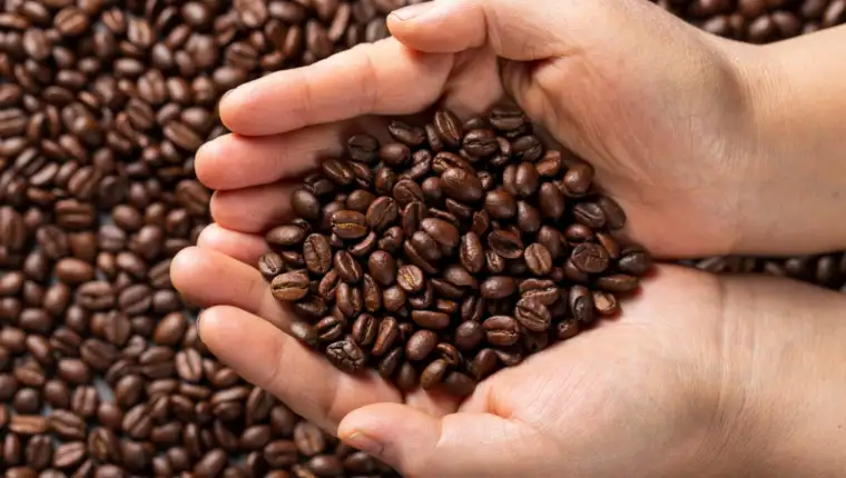 kafa5