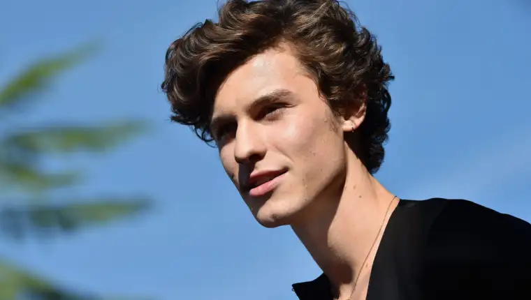 shawn mendes