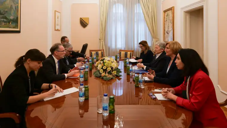 williamson ustavni sud bih 1