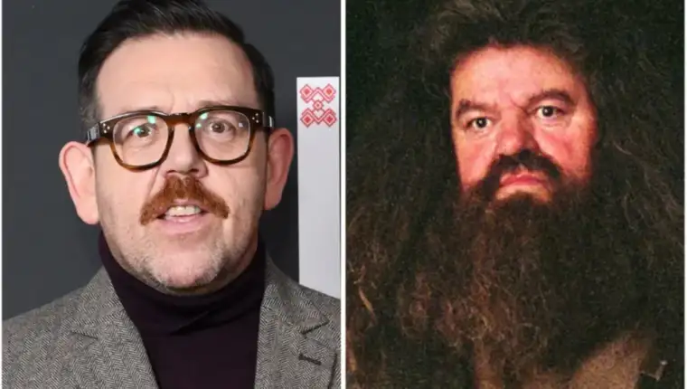 Nick Frost Hagrid