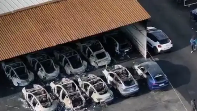 tesla rim1
