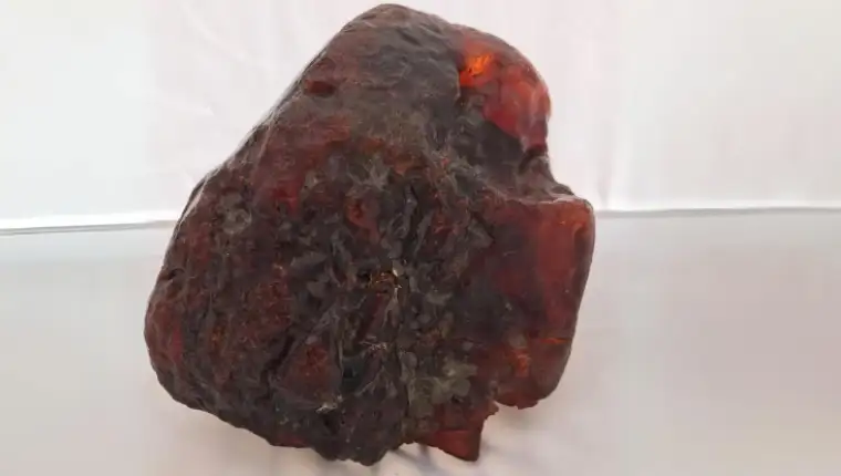 FossilAmberRockDoorstop