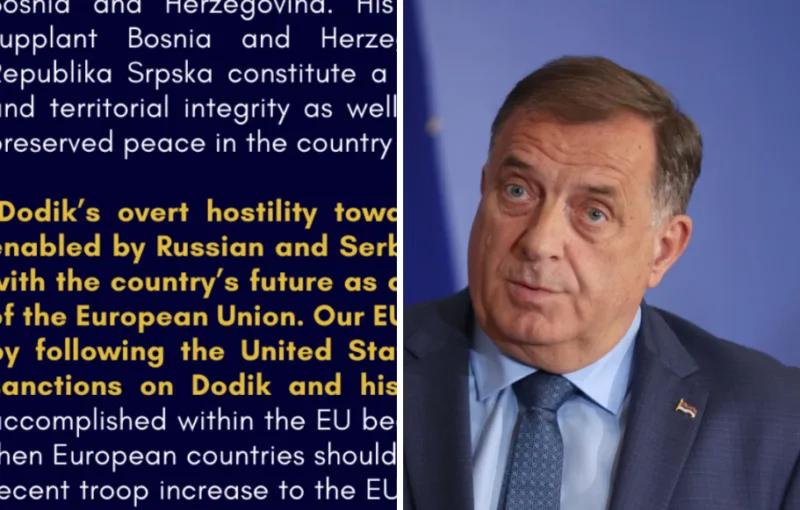 ameri dodik 5