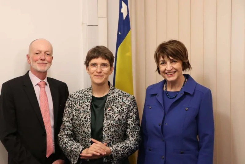 luhrmann cik bih 1