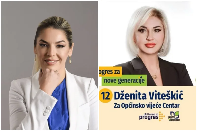mesihovic viteskic