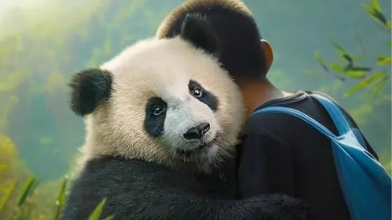 panda