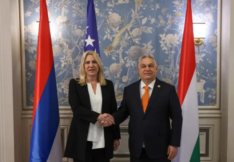cvijanocvi orban 1