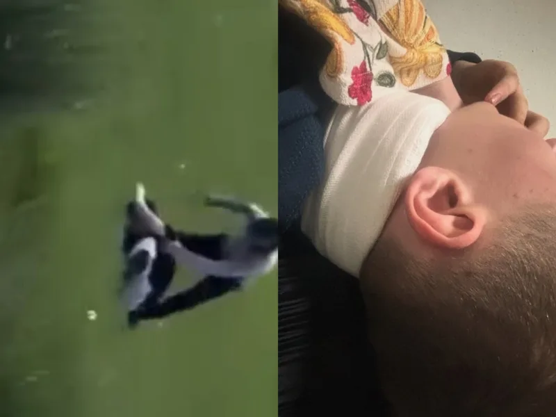 DJEČAK KALESIJA