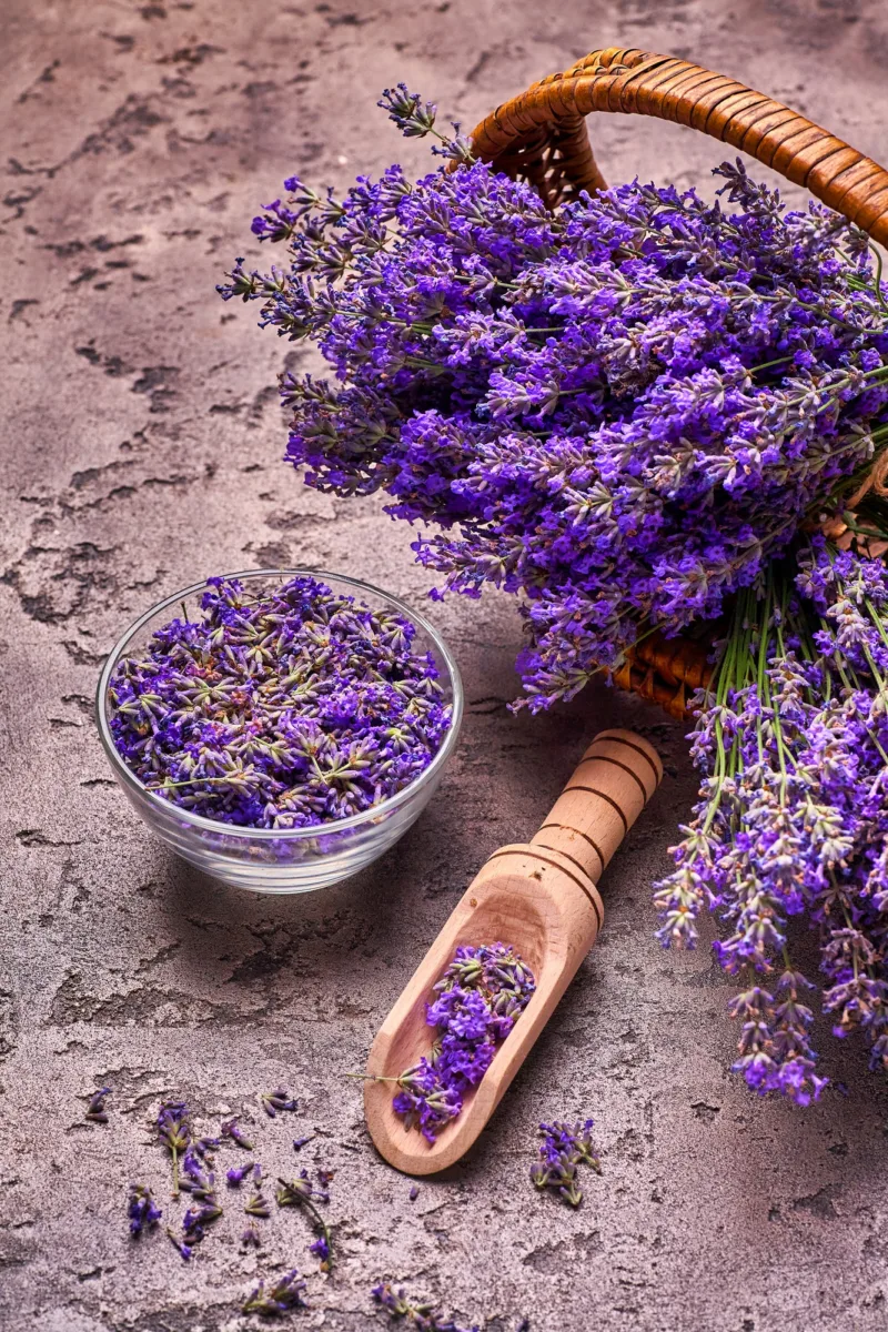lavanda-ulje-freepik-2