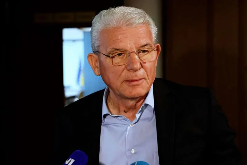 sefik dzaferovic fena