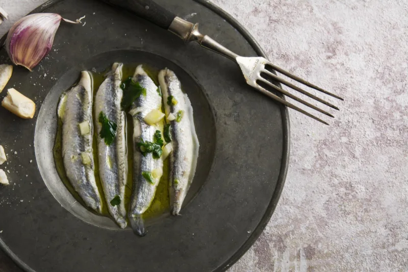 sardine freepik