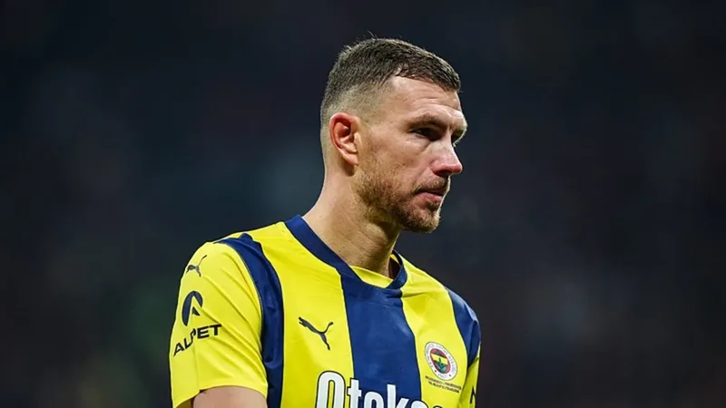 dzeko