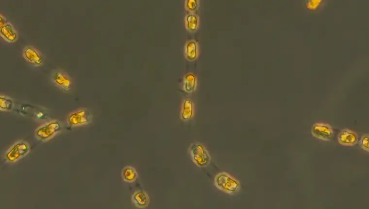 Screenshot 2025-04-01 124417