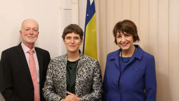 luhrmann cik bih 1