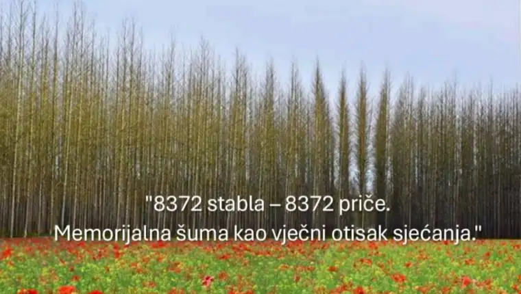 Screenshot 2025-04-08 153551