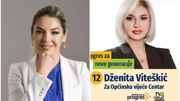 mesihovic viteskic