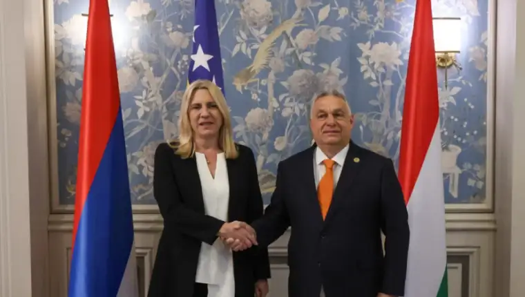 cvijanocvi orban 1