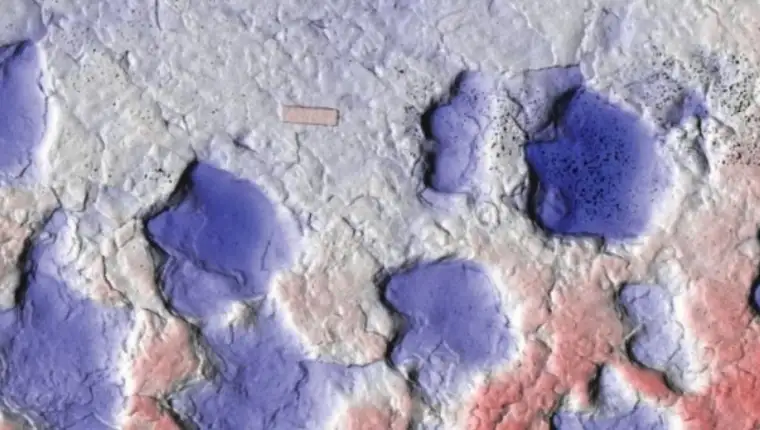 otisci dinosaurusa
