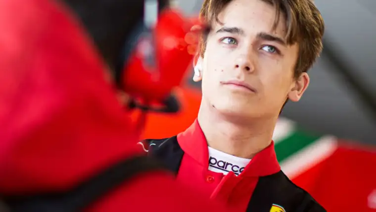 dino beganovic