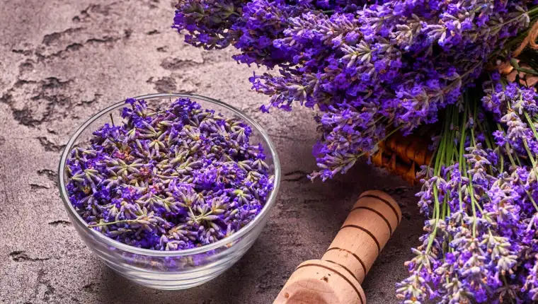 lavanda-ulje-freepik-2