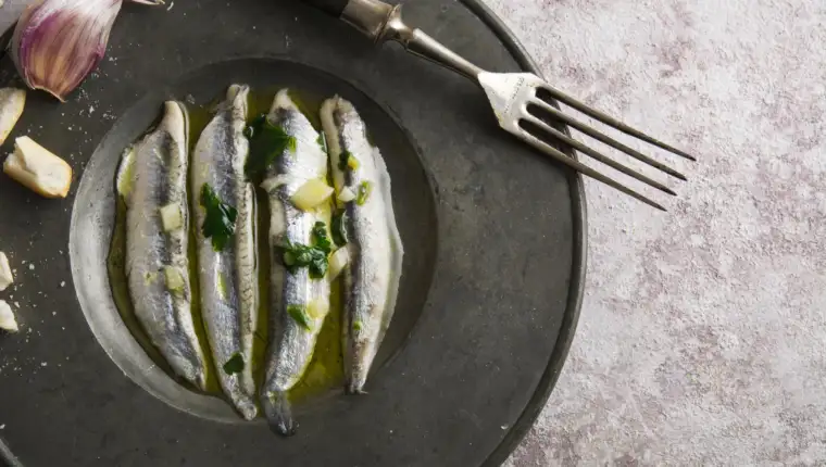 sardine freepik
