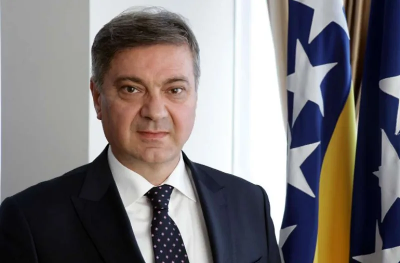 zvizdic 5