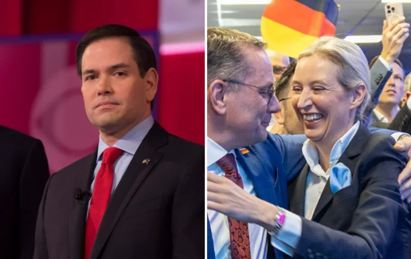 rubio afd 1