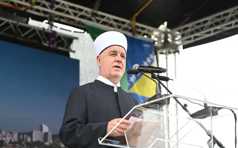 reis kavazovic