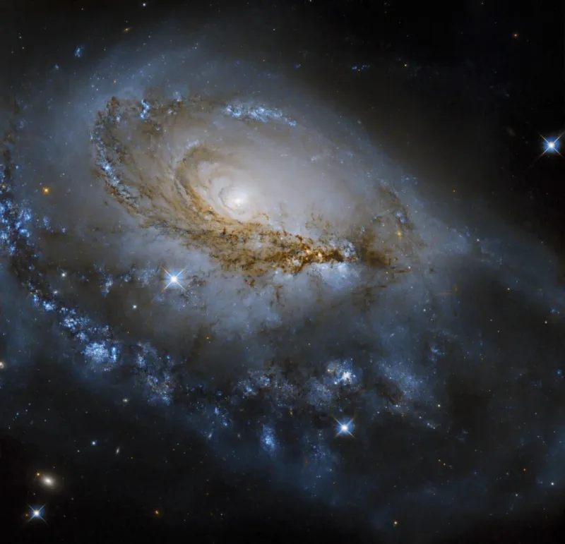 Arp 184 NGC 1961 galaksija