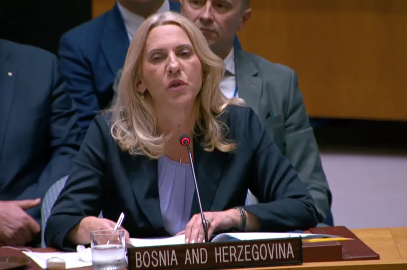 Željka Cvijanović UN