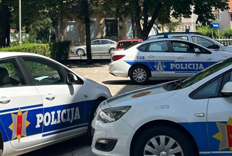 crna gora skole 4
