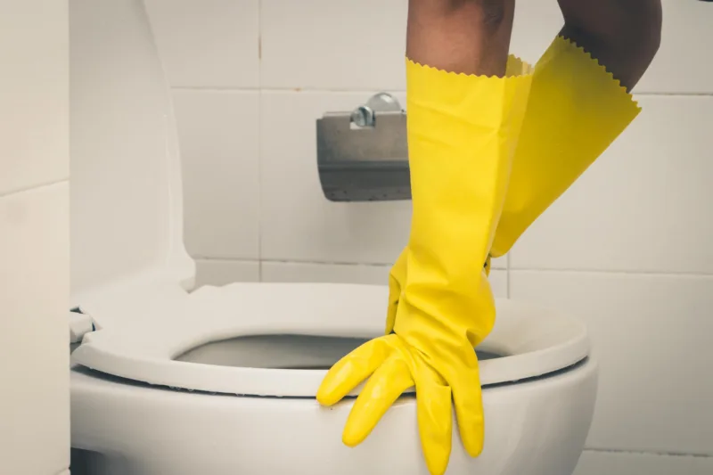 wc solja