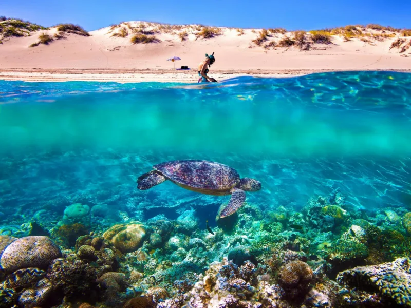 Ningaloo