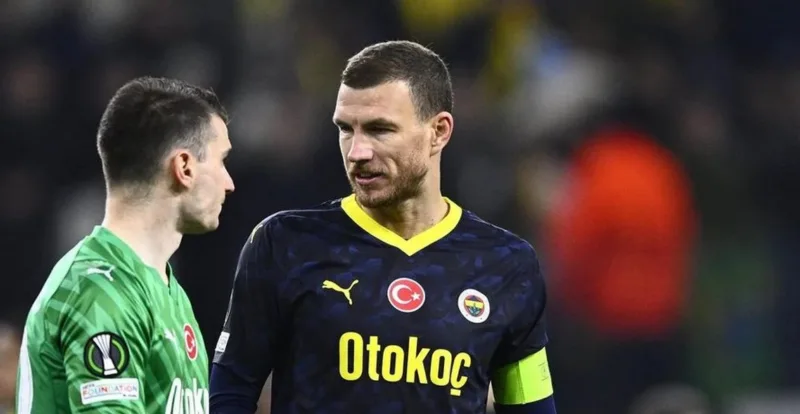 dzeko livakovic