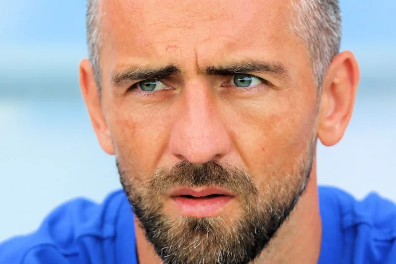 ibisevic