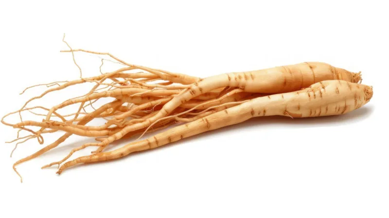 gingseng freepik