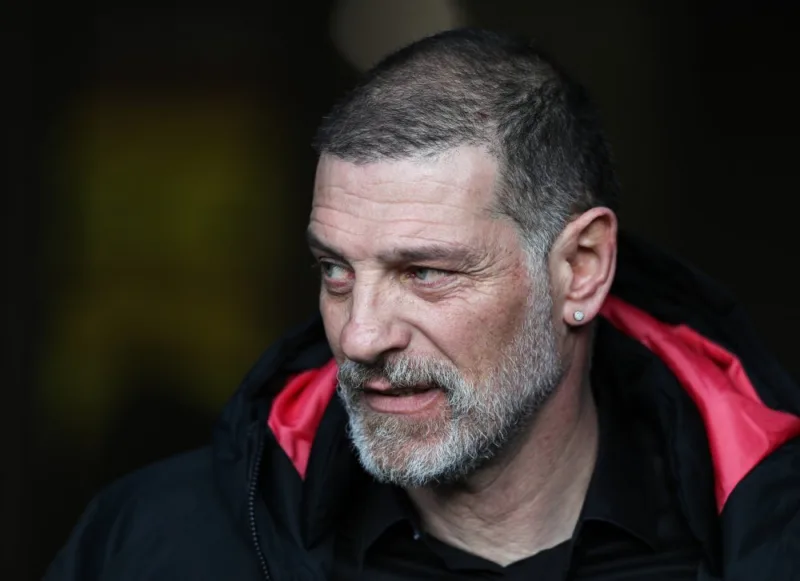 bilic